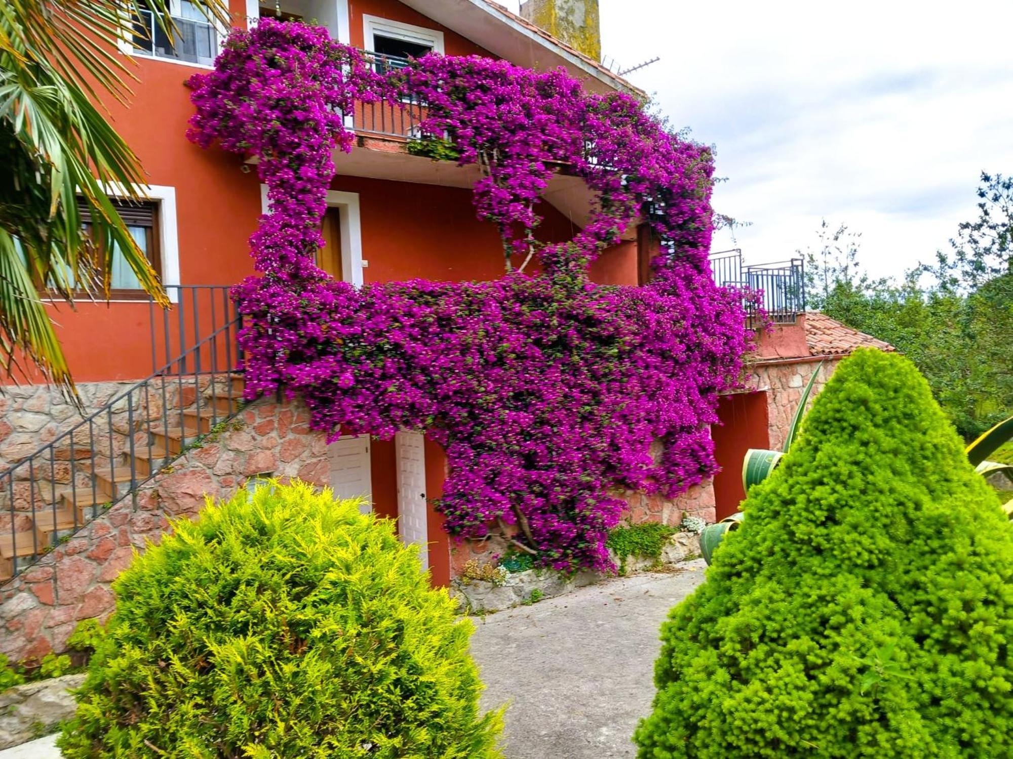 Apartamentos Mariaje Barro  Buitenkant foto
