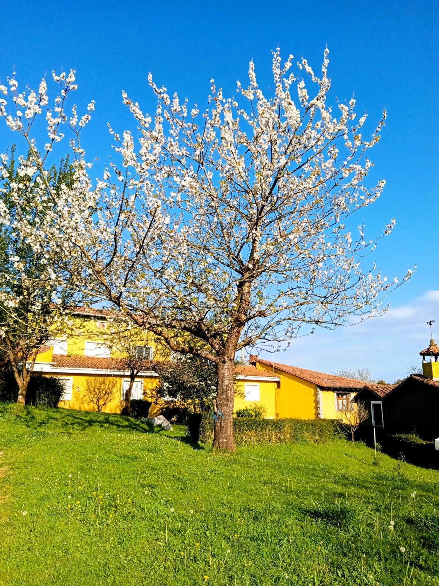 Apartamentos Mariaje Barro  Buitenkant foto
